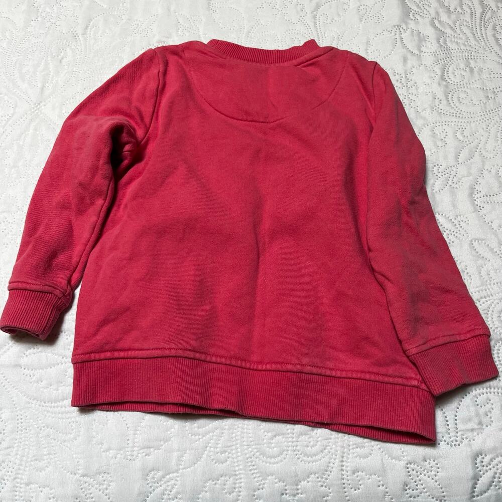 Mini Boden Woodland Creatures Pumpkin Appliqué Sweatshirt Size 3/4 - Picture 4 of 5